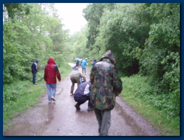 600x449 pixels (139K)